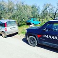 Ritrovata nelle campagne ruvesi un'auto risultata rubata a Corato