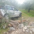 Incidente sulla Corato-Ruvo, auto travolge albero di ulivo