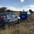 Due auto rubate rinvenute sulle Murge di Ruvo di Puglia