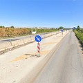 Al via i lavori di abbattimento e ricostruzione del ponte sulla SP 231 a Ruvo