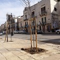 Un cuore verde per Ruvo grazie ad associazioni e cittadini