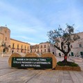 Crisi dell’olivicoltura pugliese, la protesta degli agricoltori si intensifica: Ruvo di Puglia al fianco del comparto
