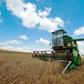 Puglia agricola, CIA denuncia:  "Costi di produzione insostenibili "