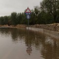Forte ondata di maltempo, il 90% della provincia di Bari a rischio idrogeologico