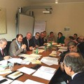 Crisi agricola, Anci Puglia: «risorse e misure straordinarie per gli olivicoltori»
