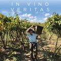  "In vino veritas ", domenica l'anteprima nazionale