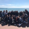 Il liceo Tedone incontra l’Europa: settimane internazionali della cultura giovanile