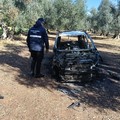 Ritrovati resti di un'auto cannibalizzata. L'intervento delle Guardie Ambietali di Ruvo