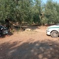 Auto rubata a Ruvo, scocca ritrovata a Corato