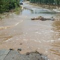 L'asfalto cede per la pioggia: chiusa la provinciale 34