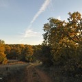 Una camminata per scoprire le querce di Ruvo