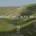 Parco Nazionale dell'Alta Murgia, a Pasqua torna il Cammino di 4 giorni tra jazzi e boschi