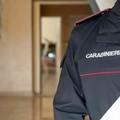 Fiamma ossidrica per tagliare la serranda, poi svaligiano la gioielleria Cosentino