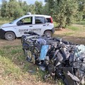 Ritrovate a Ruvo di Puglia le carcasse di due auto compattate