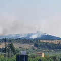 Vasto incendio a Castel del Monte: evacuato il maniero ed i ristoranti dai turisti presenti