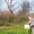 Abbattute 600 querce nel parco dell'Alta Murgia, intervento dei Forestali di Ruvo