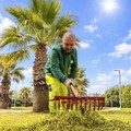 Il decoro che parte dal verde: la nuova fase di manutenzione dei parchi cittadini