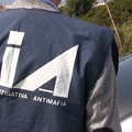 «I Mercante-Diomede hanno articolazioni operative anche a Ruvo»