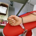 Manca sangue negli ospedali, i medici:  "Andate a donare "