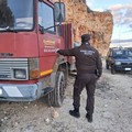 Autocarro rubato ritrovato in una cava tra Bitonto e Ruvo di Puglia