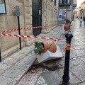 Fioriera abbattuta davanti a Palazzo Caputi: sui social parte la caccia ai colpevoli, ma è stato un incidente