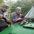 Tre denunce per caccia con mezzi non consentiti nel Parco dell'Alta Murgia