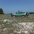 Pascolo trasformato in terreno agricolo nel Parco, in azione i Forestali di Ruvo di Puglia