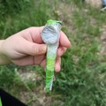 Il geocaching conquista Ruvo di Puglia: una caccia al tesoro tra ponti storici, querce secolari e misteriosi jazzi