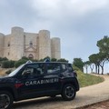 Dramma a Castel del Monte: minorenne cade da un muretto rincorso da un cane randagio