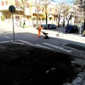 Buche chiuse nelle strade principali del paese, ma il problema persiste