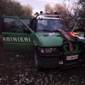 Caccia illegale al cingiale nel Parco, due denunce. Sequestrate armi e munizioni