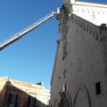 Il Sedente della Cattedrale di Ruvo di Puglia liberato dalle erbacce