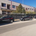 Tragedia al Liceo Scientifico: studente precipita dalla finestra e muore