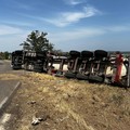 Incidente sulla Ruvo-Altamura: camion ribaltato in curva, strada chiusa per diverse ore