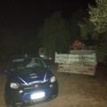 Ritrovati due veicoli rubati, erano vicino al cimitero di Ruvo di Puglia