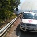 Incendio sulla provinciale Ruvo-Calendano