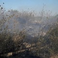 Incendio nelle campagne di Ruvo di Puglia