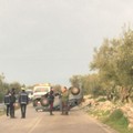 Auto si ribalta sulla strada tra Molfetta e Ruvo di Puglia