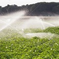 Acqua, aumenti in vista per gli agricoltori