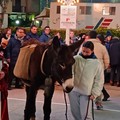 L’arrivo di Santa Lucia e il suo asinello a Ruvo di Puglia – LE FOTO