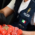 Finti Carabinieri in trasferta a Belluno: quattro arresti, uno è di Ruvo di Puglia