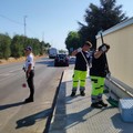 Chiusa al traffico via Sen. Gadaleta per lavori di diserbo e pulizia stradale