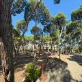 La Pineta di Ruvo di Puglia ospita la panzerottata di beneficenza dell’ENPA