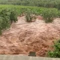 Alluvione a Ruvo di Puglia, Chieco chiede aiuto a Emiliano per riparare i danni