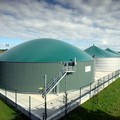 La Regione Puglia autorizza la costruzione dell'impianto a biogas: una sconfitta per il sindaco Chieco