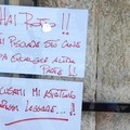 Ruvo di Puglia, proteste contro i bisogni dei cani in città - il messaggio di Spinelli