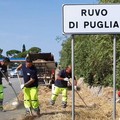 Intervento di pulizia straordinaria lungo la strada che collega Ruvo a Terlizzi