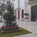 Natale a Ruvo di Puglia: sette punti selfie lungo i corsi principali