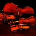 Domani il Concerto dell'Epifania con il quartetto d'archi “Amici della Musica”