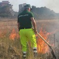 Ecoreati, le segnalazioni ai Rangers D'Italia sezione Puglia